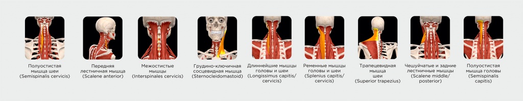 9fc4c69f1561e3a813ce97d60fc8acb7.jpg