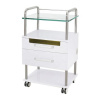 Тумба передвижная с УФ модулем Med-Mos BLZ 026/DP-6052T