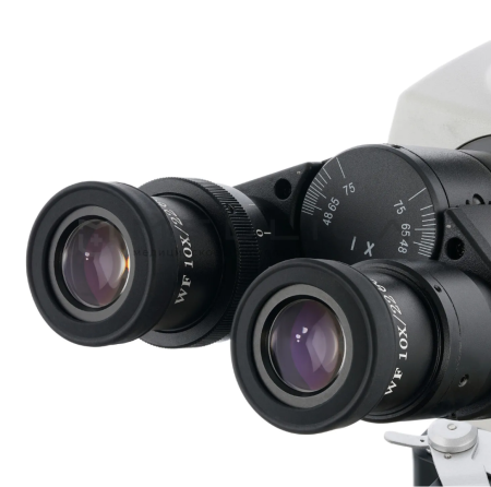 Цифровой микроскоп Levenhuk MED D40T LCD