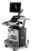 GE Logiq E10