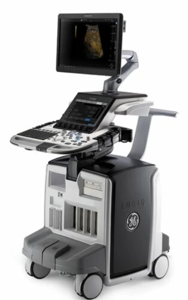 GE Logiq E10