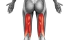 Salus-Talent-Pro-AES
