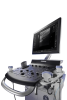 GE Versana Balance
