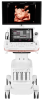 Samsung Hera Z20