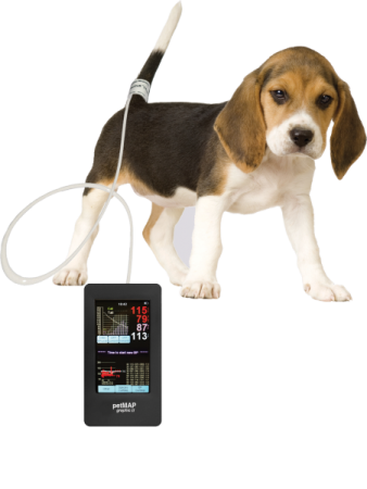 Тонометр petMap Graphic II